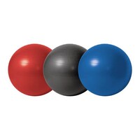 JD Vine Anti-Burst Gym Ball, 65 cm - Multicolor