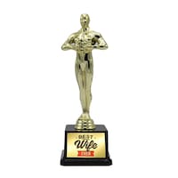 Precise Best Wife Ever Award - Carton of 25 Pcs