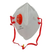 Eyevex Respirator, ER 2600 SLV FFP2, Carton Of 480 Pcs
