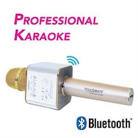 Touchmate Wireless Professional Karaoke Mic with Bluetooth, Gold