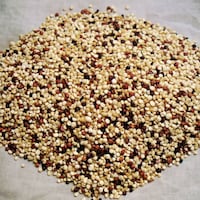 Picture of Number8 Conventional Quinoa, Mixed, 25kg