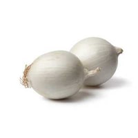 Fresh Onion, White - Box of 6.34kg