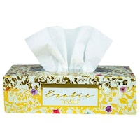 Picture of Exotica Ultra Soft 2-Ply Facial Tissue Box