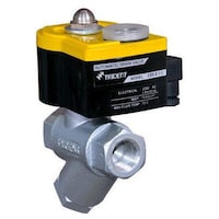 Picture of Trident Automatic Drain Valve, 220V