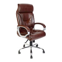 Picture of Chair Garage Office Chair with Back Support, Adjustable, AM19, Brown