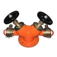 Picture of Eco Fire Double Outlet Type Landing Valve Type B, Gun Metal
