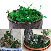 Artificial Bonsai Potted Plant with Dry Moss 