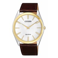 Picture of Citizen Analog White Dial Men's Watch - AR3074-03A