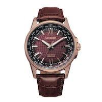 Picture of Citizen Eco-Drive World Time Leather Perpetual Men's Watch - BX1009-10X