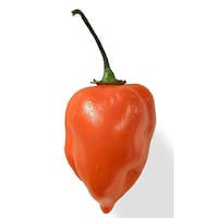 Picture of Crinnod Hot Pepper Habaneros, 4kg