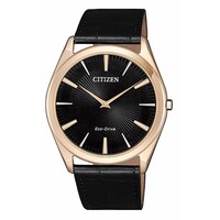 Picture of Citizen Analog Black Dial Men's Watch - AR3073-06E