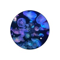 Picture of BP Jellyfish Round Mouse Pad, 8.63 x 7.04inch