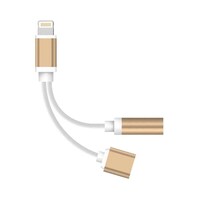 RKN 2 -in-1 Lightning Adapter Charging Cable, Gold & White
