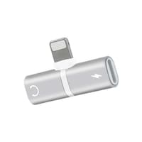Picture of RKN Electronics Mini Split Adapter with Dual Lightning Ports, Silver, 26mm
