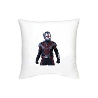 Picture of Rkn The Flash Printed Decorative Cushion, 16 X 16Inch, RKN19308