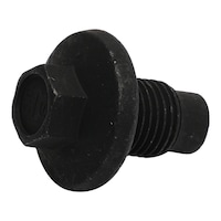 Peugeot Boxer Oil Drain Plug and Washer, 22DT, Black, 0311.32