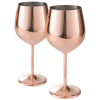 Rengvo Stainless Steel Wine Glasses Set, 2 Pieces, 500 Ml