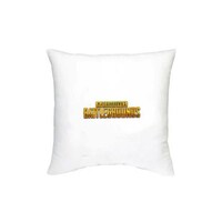 Picture of RKN PUBG Wordings Printed Decorative Cushion, 16 x 16inch
