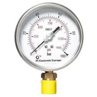 Instrume PI Controls Europe Steel Brass connection Pressure Gauge