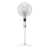 Picture of Crown Line Stand Fan with 360° Rotation, Sf-255