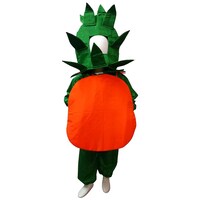 Bookmycostume Orange Fruit Kids Fancy Costume