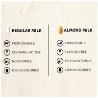 Picture of Raw Pressery Almond Milk Cocoa, RPAC, 1000ml, Pack of 3