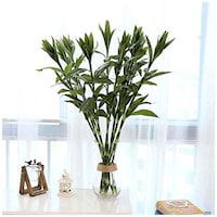 Fourwalls Artificial Lucky Home Decor Bamboo Plant Stems