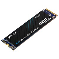 PNY Solid State Drive, M280CS1031-256-CL, 256GB