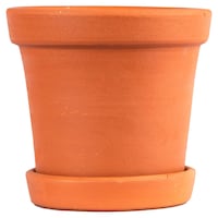 Picture of Village Decor Terracotta/clay Money Plant Container
