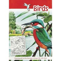 Picture of Birds: Charming Pull Out Line Drawings To Bring To Life With Colour