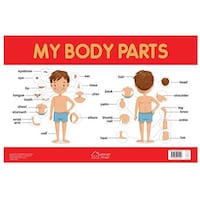 Picture of Wonder House Books My Body Parts Chart, Early Learning Chart For Kids