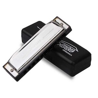 Swan 10 Hole Harmonica Key Of C Blues Harp With Case, Silver