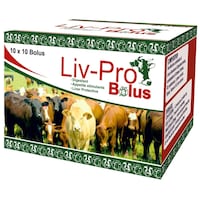 Liv Pro Liver Protective Feed Supplement Bolus, 10x10 Count
