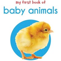 Picture of Wonder House Books My First Book Of Baby Animals: First Board Book