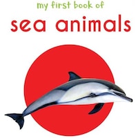 Picture of Wonder House Books My First Book Of Sea Animals: First Board Book, Hardback