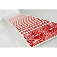 Picture of Bicycle Standard Playing Cards, Red & Blue, Pack Of 2