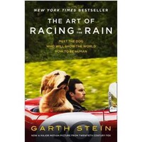 The Art Of Racing In The Rain Paperback