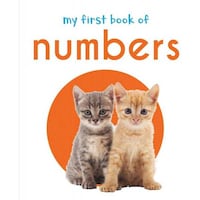 Picture of Wonder House Books My First Book Of Numbers: First Board Book, Hardback
