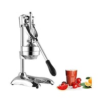 Manual Commercial Stainless Steel Juicer