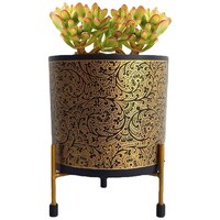 Picture of Ecofynd Alan Metal Planter Pot with Stand, PWS017, Black/Gold, 5 inch
