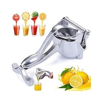 Picture of Newly Manual Fruit Juicer, 2020