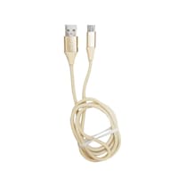 Influence Germany USB Type-C Fast Charging Cable, Beige