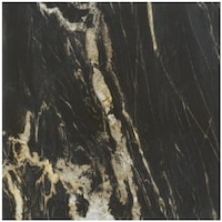 Picture of Golden Marble Collection Tile, Belvedere Black