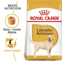 Royal Canin Breed Health Nutrition Adult Labrador