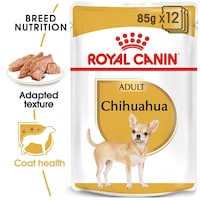 Picture of Royal Canin Breed Health Nutrition Chihuahua Adult Wet Food, 85g, Box of 12 Pouches