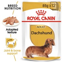 Picture of Royal Canin Breed Health Nutrition Dachshund Adult Wet Food, 85g, Box of 12 Pouches