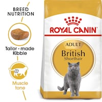 Royal Canin Feline Breed Nutrition British Shorthair Adult, 4kg