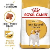 Royal Canin Breed Health Nutrition Jack Russell Adult, 1.5kg