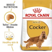 Royal Canin Breed Health Nutrition Cocker Adult, 3kg