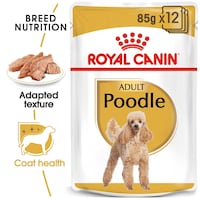 Picture of Royal Canin Breed Health Nutrition Adult Poodle Wet Food, 85g, Box of 12 Pouches